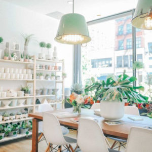 Most beautiful cafes: Plant Shed Café, New York